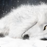 流云飘雪