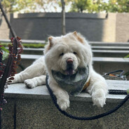 KUMA