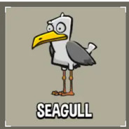 Seagull