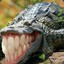 Smile_Gator