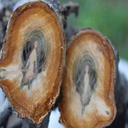 treating myself to insomnia