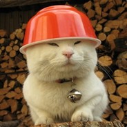 ☪黑米大战加菲猫 ☼