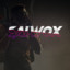 SalwoX