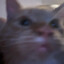 i kiss boys