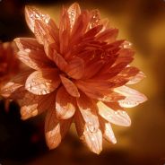 Нагибашка 228