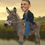 Donkey Rider