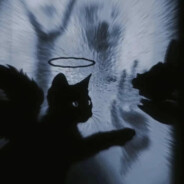 我相信过你说的爱我