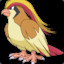 Pidgeot