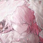 Pudding