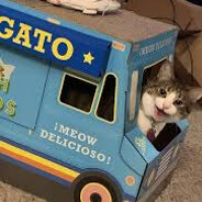 ¡ Meow Delicioso !