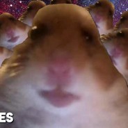 HumenSans [GalaxyRP]