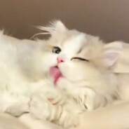 嫂子把裤子穿上