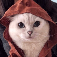 huga. - steam id 76561198138637220