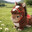 Rabbitkiller53 avatar