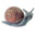 Snail -_-