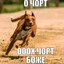 ГУБЕРНАТОР