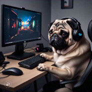 Pug_Hs