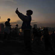 伤心牛牛想起飞做捍卫牛子