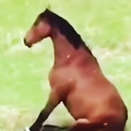 等一下，大厨正在制造