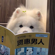 ⚡禁止殺戮⚡O.s