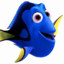 Dory