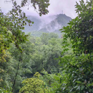 I will always love you