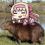 水豚