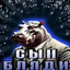 сын бляди