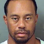 Tiger Woulds