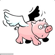 会飞的猪