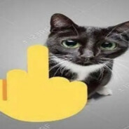 КИСЯ ПУСИ ТРАХЕР