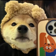 她与残局皆遗憾