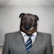 DogBelow