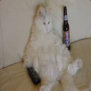 forPPPPP - steam id 76561197960701107