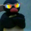 NOOT NOOT