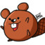 beaverboii