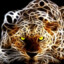 Huntingleopard
