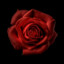 Red Rosalia