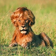 Chanas - steam id 76561198061393201