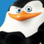Skipper