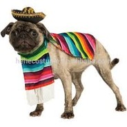 Cão de Sombrero