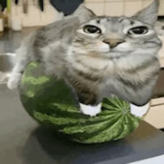 щекотатель ануса