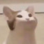 columbo's avatar
