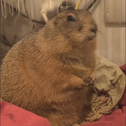 iloveprairiedog8