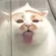 这是一只高冷的派大星