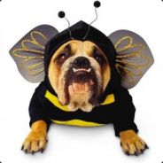 BEE RUMBLE - steam id 76561197961880730