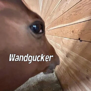 zTrixxbtw