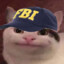 gatitoxd10