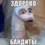 ДонПитон