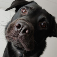 Kantoraketti - steam id 76561198009907491